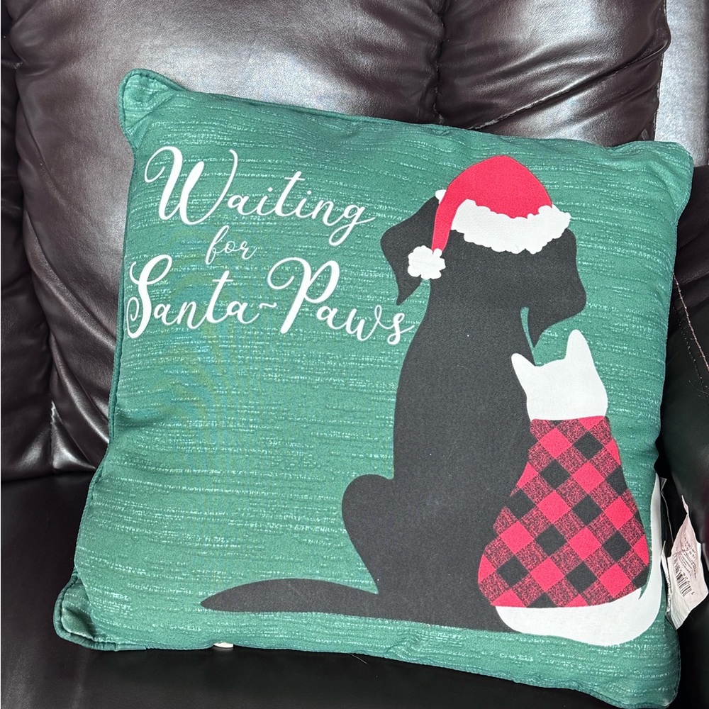 Festive Green 'Waiting for Santa Paws' Pillow